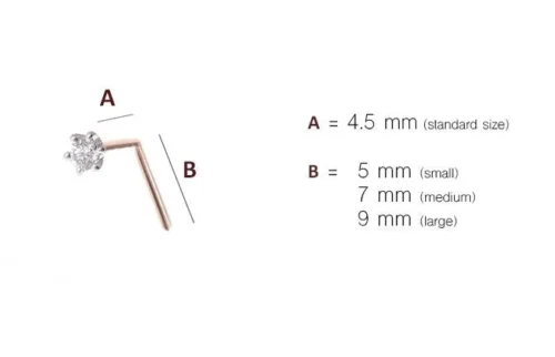 18ct Gold Diamond And Gemstone L-shape Back Nose Stud 6 18ct Gold Diamond And Gemstone L-shape Back Nose Stud -Shiny Jewelry Hub NoseStudLshapeCustomisation 48259bbb 4565 4b52 8e59 33a0627b7fba